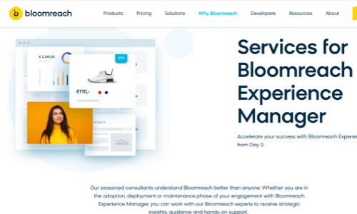 Digital Experience Platform - Bloomreach